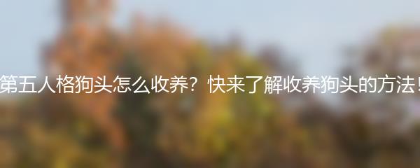 第五人格狗头怎么收养？快来了解收养狗头的方法！