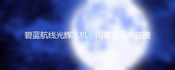 碧蓝航线光辉飞机：闪耀蓝天的翅膀