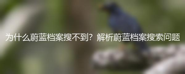 为什么蔚蓝档案搜不到？解析蔚蓝档案搜索问题