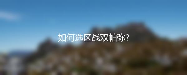 如何选区战双帕弥？