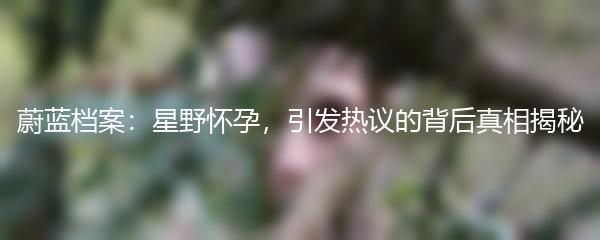 蔚蓝档案：星野怀孕，引发热议的背后真相揭秘