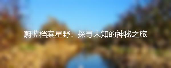 蔚蓝档案星野：探寻未知的神秘之旅