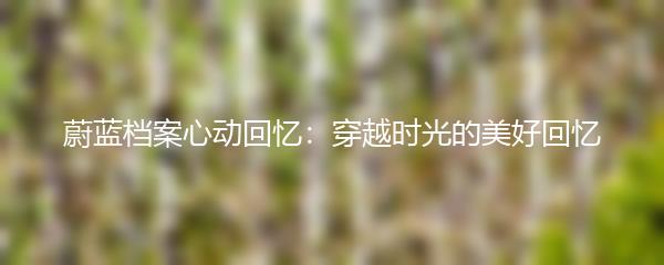 蔚蓝档案心动回忆：穿越时光的美好回忆