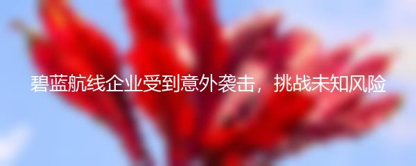 碧蓝航线企业受到意外袭击，挑战未知风险