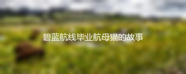 碧蓝航线毕业航母猫的故事