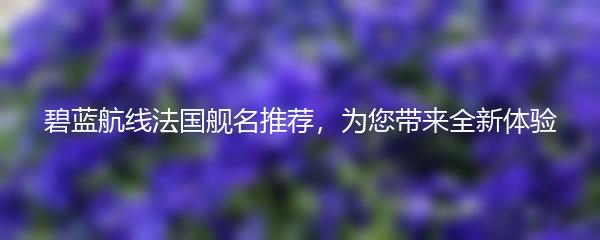 碧蓝航线法国舰名推荐，为您带来全新体验