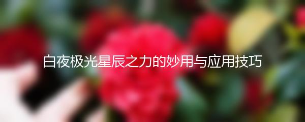 白夜极光星辰之力的妙用与应用技巧