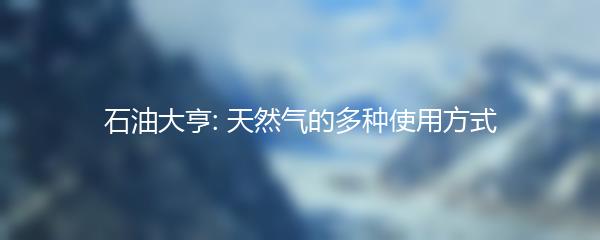 石油大亨: 天然气的多种使用方式