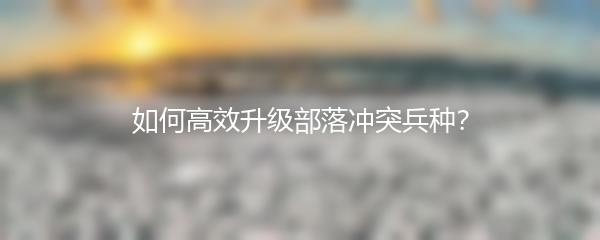 如何高效升级部落冲突兵种？