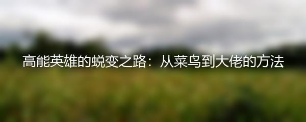 高能英雄的蜕变之路：从菜鸟到大佬的方法