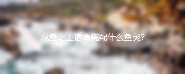 咸鱼之王诸葛亮配什么鱼灵？