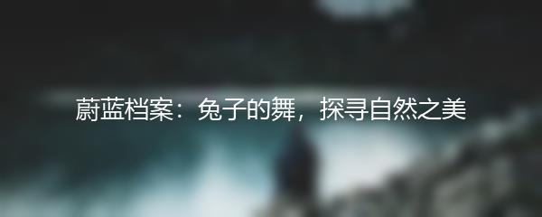 蔚蓝档案：兔子的舞，探寻自然之美