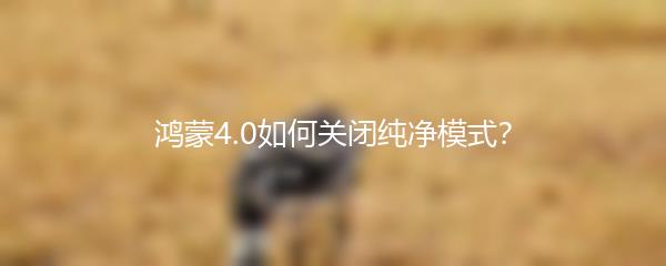 鸿蒙4.0如何关闭纯净模式？