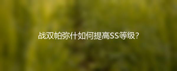 战双帕弥什如何提高SS等级？