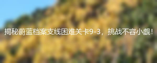 揭秘蔚蓝档案支线困难关卡9-3，挑战不容小觑！