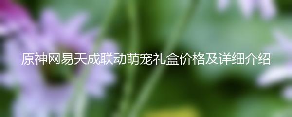 原神网易天成联动萌宠礼盒价格及详细介绍