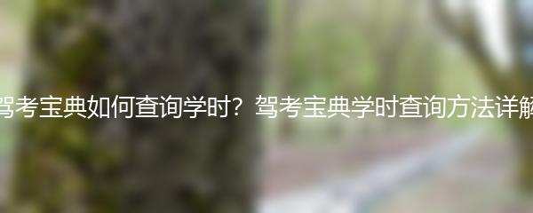 驾考宝典如何查询学时？驾考宝典学时查询方法详解