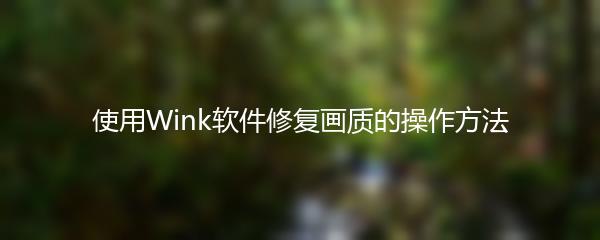 使用Wink软件修复画质的操作方法