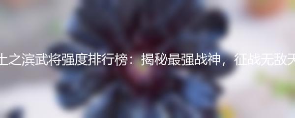 率土之滨武将强度排行榜：揭秘最强战神，征战无敌天下