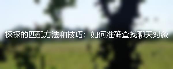 探探的匹配方法和技巧：如何准确查找聊天对象