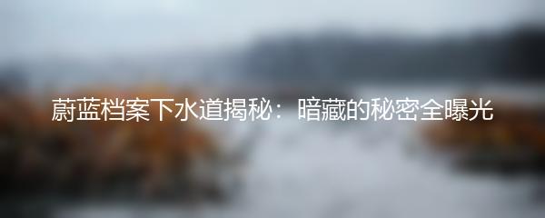 蔚蓝档案下水道揭秘：暗藏的秘密全曝光