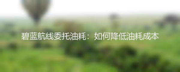 碧蓝航线委托油耗：如何降低油耗成本