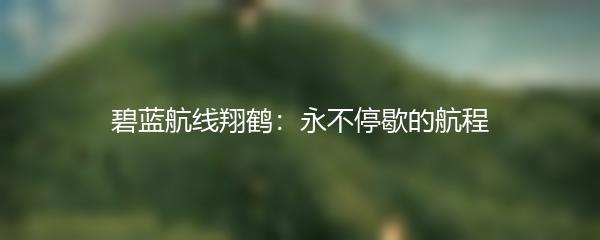 碧蓝航线翔鹤：永不停歇的航程