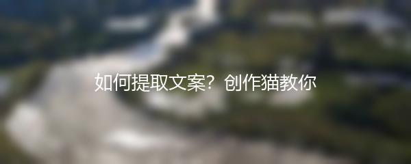 如何提取文案？创作猫教你
