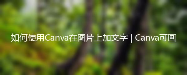如何使用Canva在图片上加文字 | Canva可画
