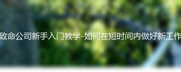 致命公司新手入门教学-如何在短时间内做好新工作