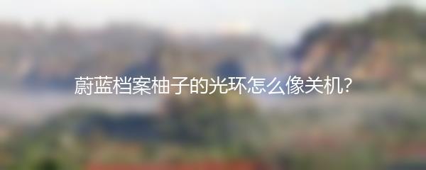 蔚蓝档案柚子的光环怎么像关机？