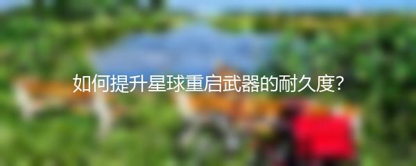如何提升星球重启武器的耐久度？