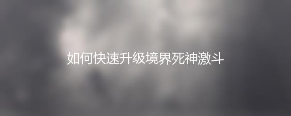 如何快速升级境界死神激斗