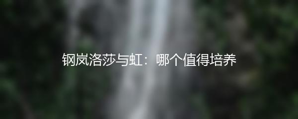 钢岚洛莎与虹：哪个值得培养