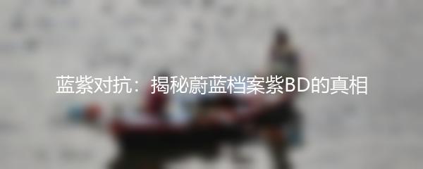 蓝紫对抗：揭秘蔚蓝档案紫BD的真相
