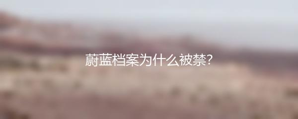 蔚蓝档案为什么被禁？