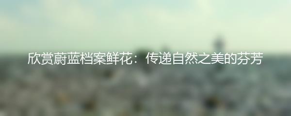 欣赏蔚蓝档案鲜花：传递自然之美的芬芳