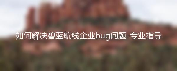 如何解决碧蓝航线企业bug问题-专业指导