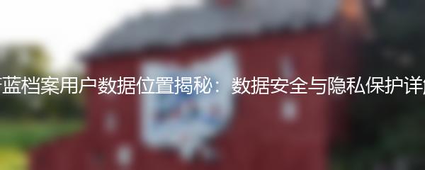 蔚蓝档案用户数据位置揭秘：数据安全与隐私保护详解