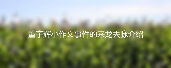 董宇辉小作文事件的来龙去脉介绍