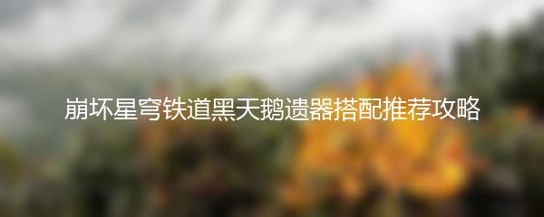 崩坏星穹铁道黑天鹅遗器搭配推荐攻略