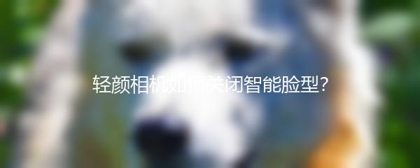 轻颜相机如何关闭智能脸型？