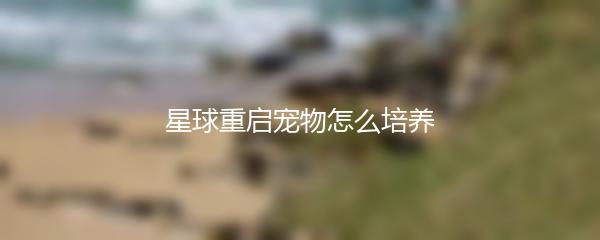 星球重启宠物怎么培养