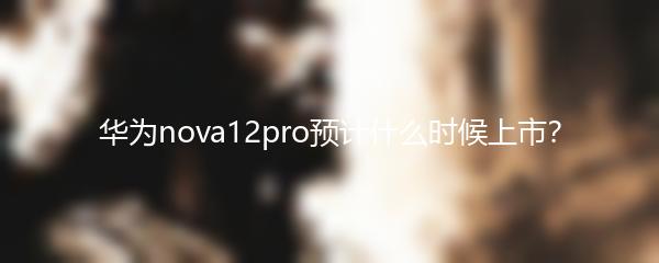 华为nova12pro预计什么时候上市？