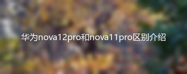 华为nova12pro和nova11pro区别介绍