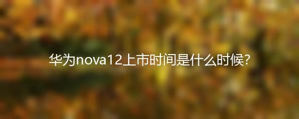 华为nova12上市时间是什么时候？