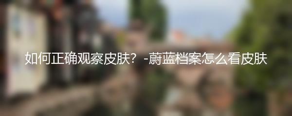 如何正确观察皮肤？-蔚蓝档案怎么看皮肤