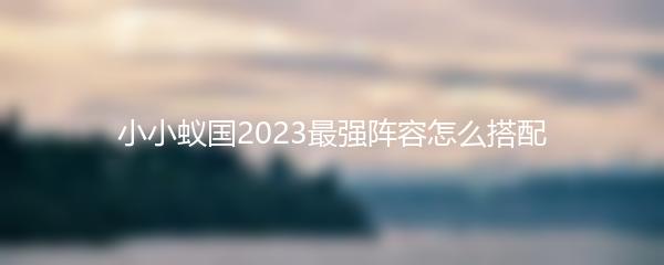 小小蚁国2023最强阵容怎么搭配