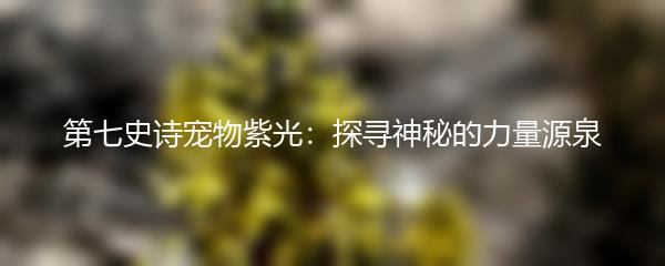 第七史诗宠物紫光：探寻神秘的力量源泉