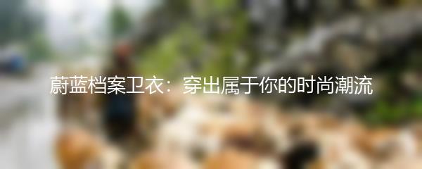 蔚蓝档案卫衣：穿出属于你的时尚潮流